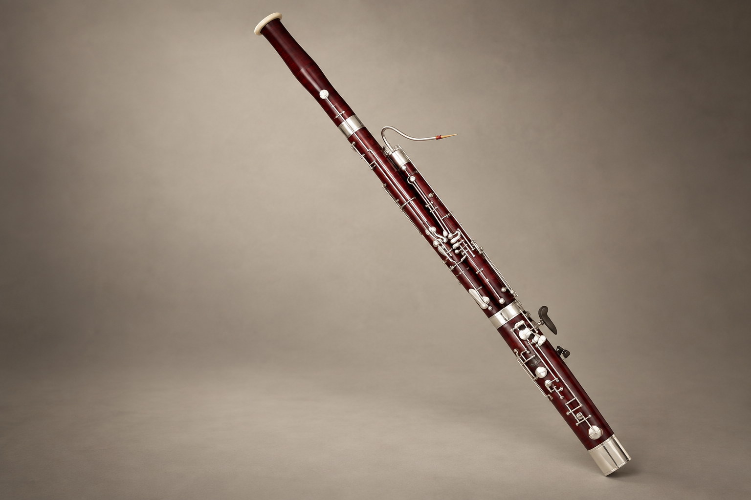 Bassoon against a neutral background